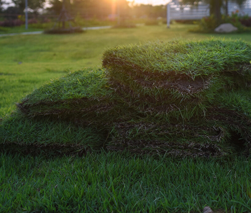 Welcome to Greenline Sod LLC